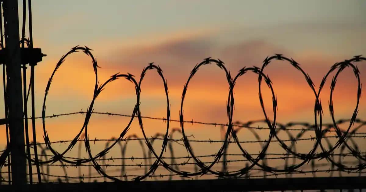 Merter Elektronik: Elektronik Ürünler ve Çözümlerinde Güvenilir Lider Firma