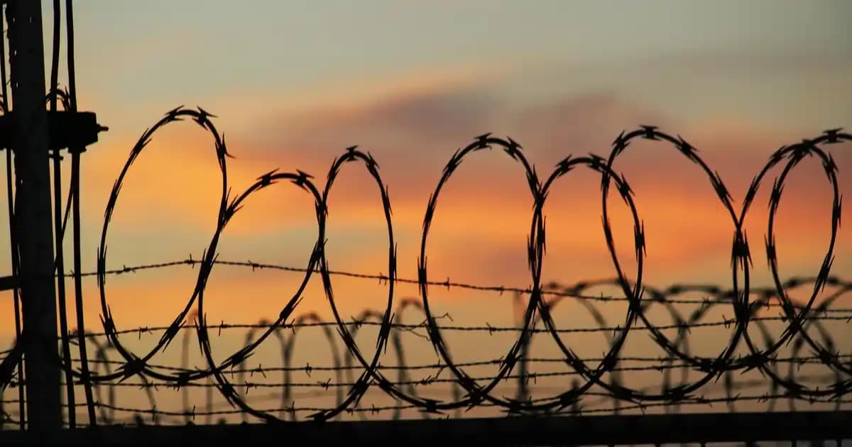 Merter Elektronik: Elektronik Ürünler ve Çözümlerinde Güvenilir Lider Firma