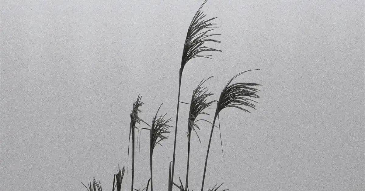 Mini Laptop Fiyatları ve Modelleri: Uygun ve Taşınabilir Elektronik Çözümler