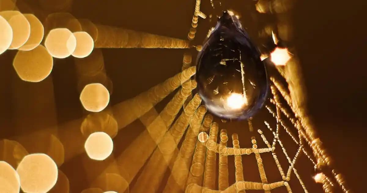 Online Ödeme Sistemleri: Dijital Ekonominin Güçlü ve Güvenilir Çözümleri