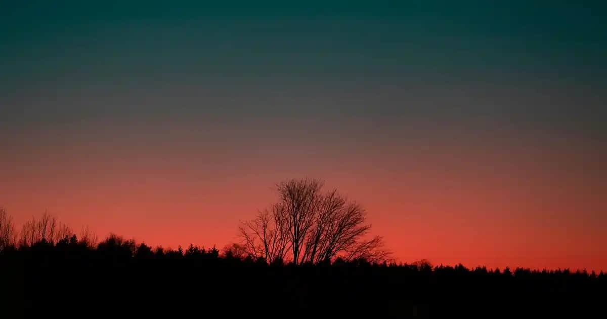 Profesyonel Kamera Seçiminde Dikkat Edilmesi Gerekenler ve En İyi Markalar