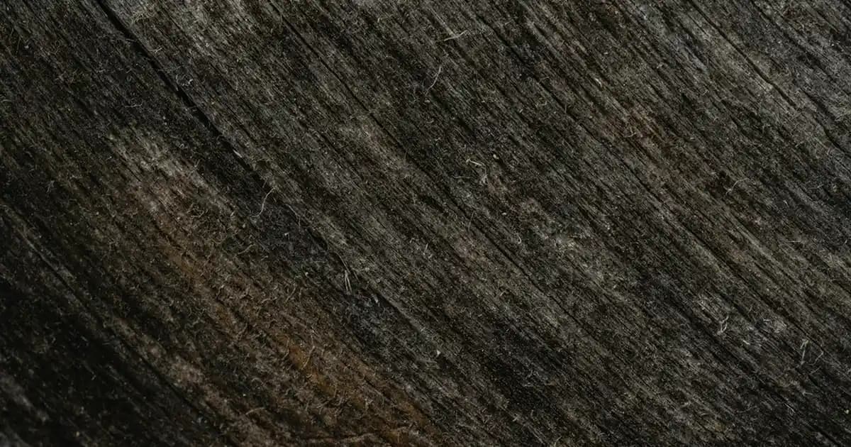 Redmi Note 12 Fiyatları ve Özellikleri 2024 Güncel Trendler ve Piyasa Analizi