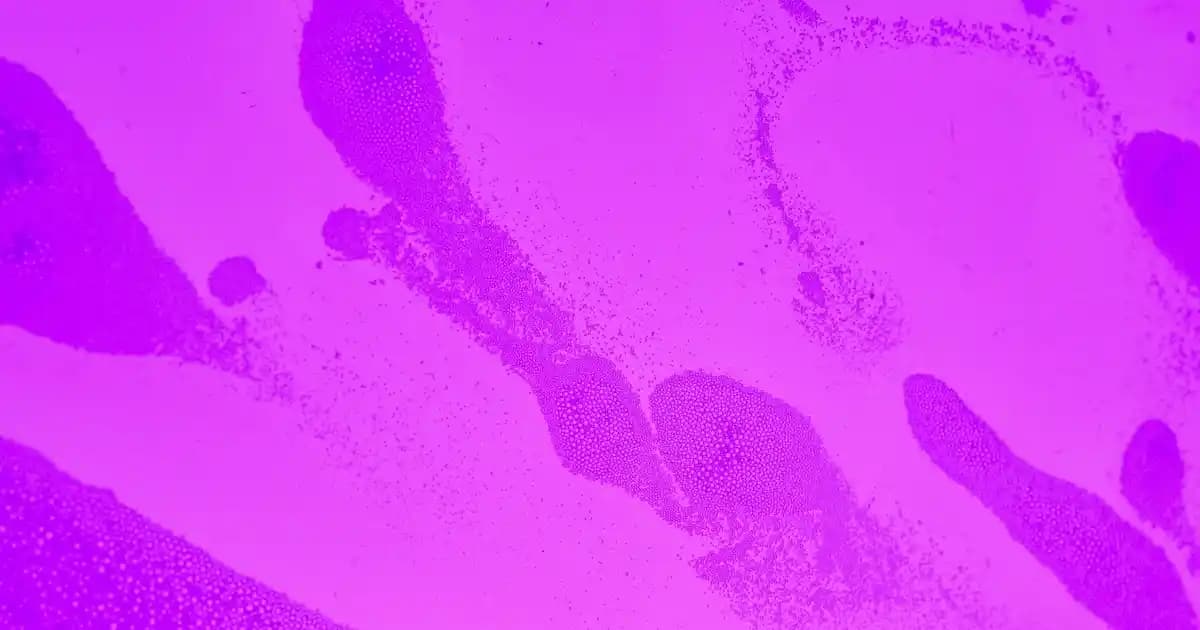 Samsung Ekran Testi Nasıl Yapılır: Adım Adım Kılavuz ve İpuçları