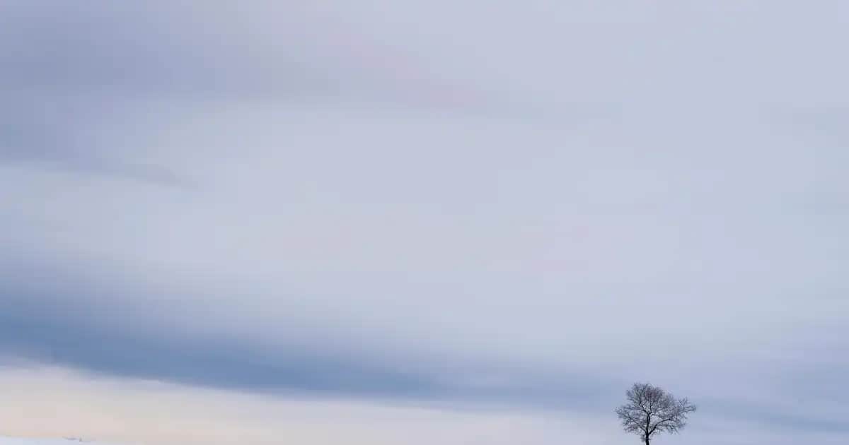 Samsung Galaxy A32 Kamera Özellikleri ve Çekim Modları Detaylı İnceleme