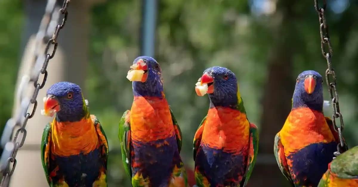 Samsung Şarj Kablosu Seçimi ve Güvenli Kullanım Rehberi