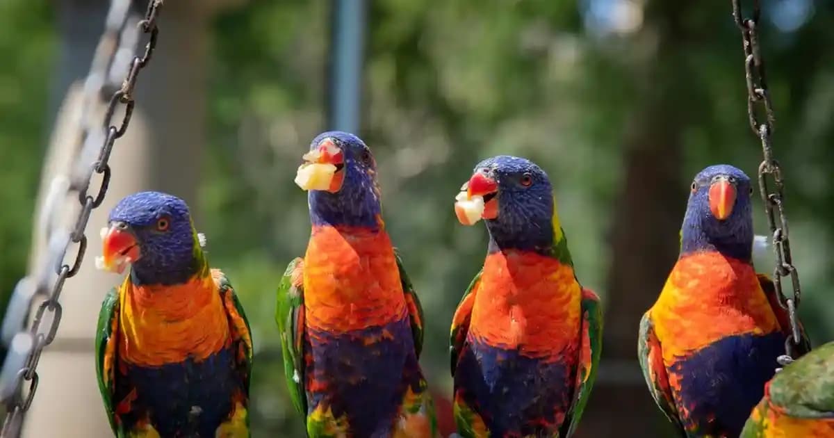 Samsung Şarj Kablosu Seçimi ve Güvenli Kullanım Rehberi