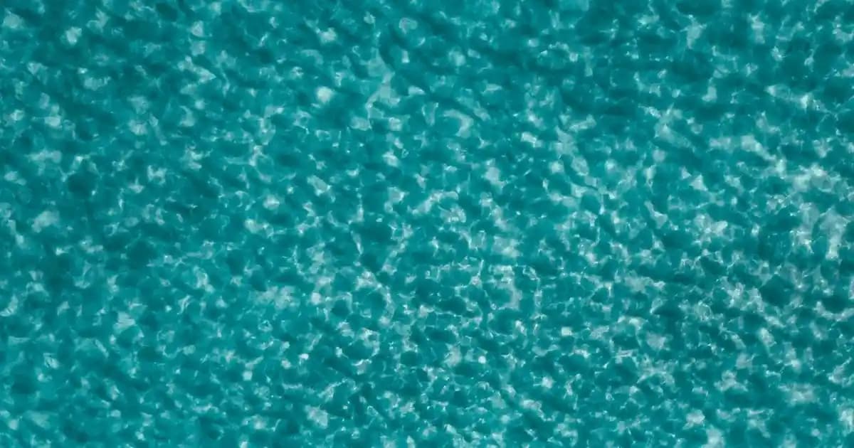 Samsung'un En Pahalı Akıllı Telefonu Galaxy Z Flip 5 Ultra Özellikleri ve Lüks Detayları