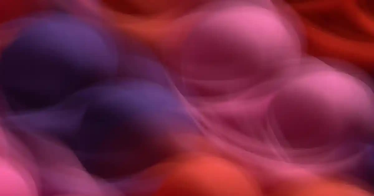 TCL Televizyon Müşteri Hizmetleri ve Servis Destek Rehberi