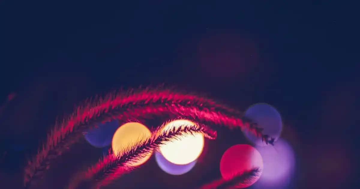 Telefon Faturası Yönetimi ve Ödeme İşlemleri Hakkında Detaylı Rehber