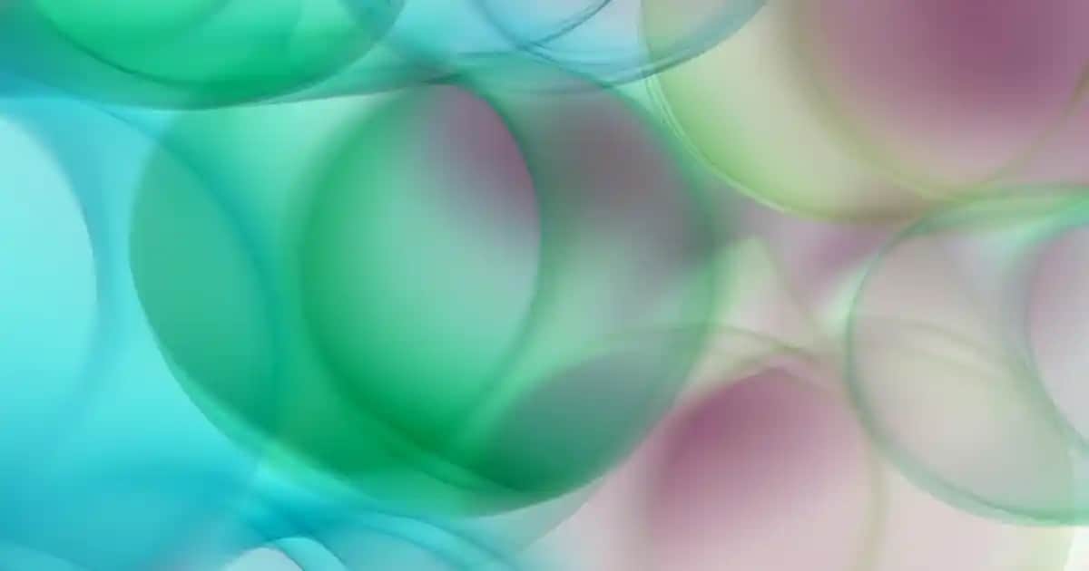 Telefon Kılıfı Renkleri ve Modelleri: Tarzınızı Yansıtan Seçenekler