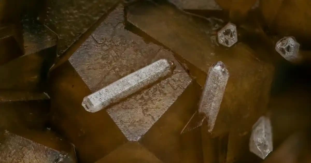 2025'te Telefon Performansınızı Katlayacak RAM Seçim Rehberi