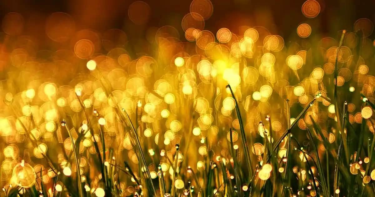 Telefonun Teknik Özelliklerini Öğrenmenin En Etkili Yolları ve Detaylı Rehber