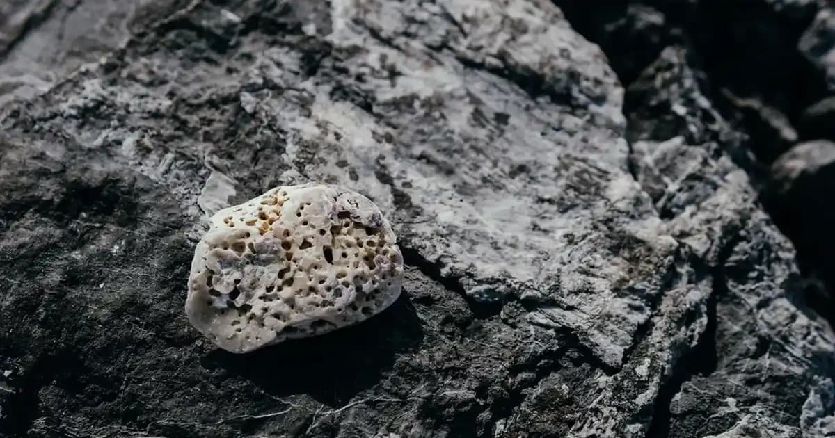 Türkiye’de En Uygun Elektrikli Arabalar 2025 Fiyatlar, Modeller ve Seçim Rehberi