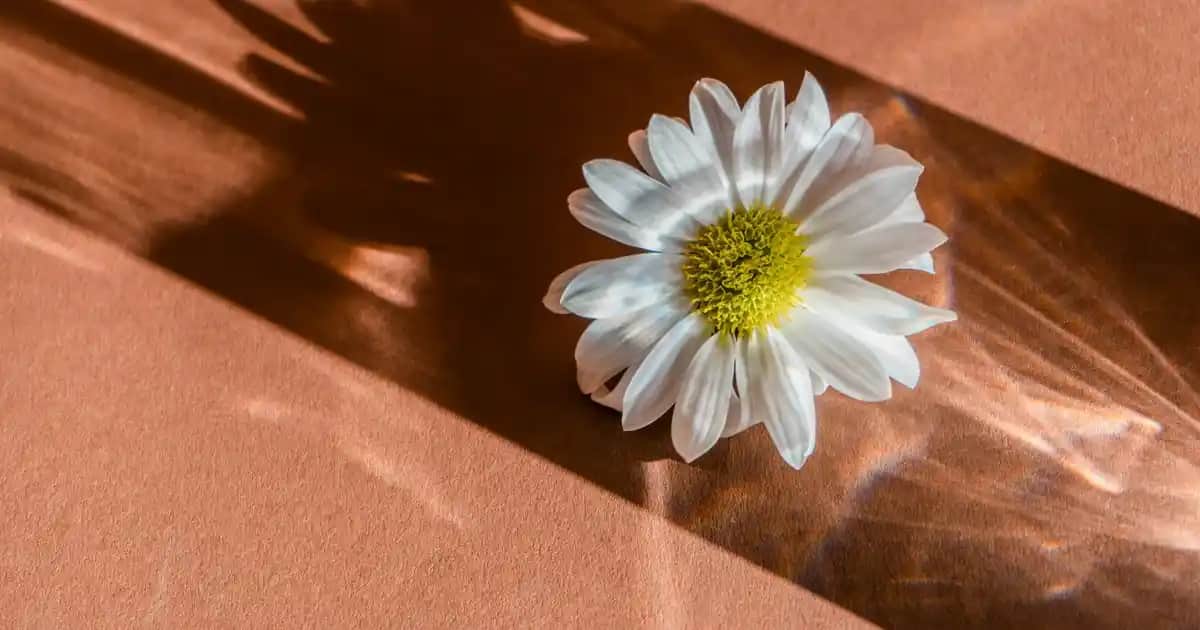 Vestel Akıllı Saatler: Sağlık ve Teknolojiyi Birleştiren Güncel Modeller ve Özellikler