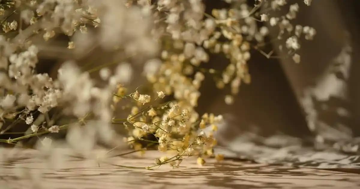 WhatsApp'ta Birinin Beni Engellediğini Anlamanın Yolları ve İpuçları