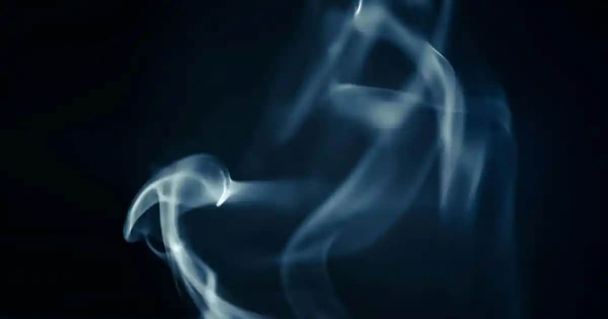 WhatsApp'ta Tek Seferlik Fotoğraf Gönderimi ve Ekran Görüntüsü Alma Yöntemleri