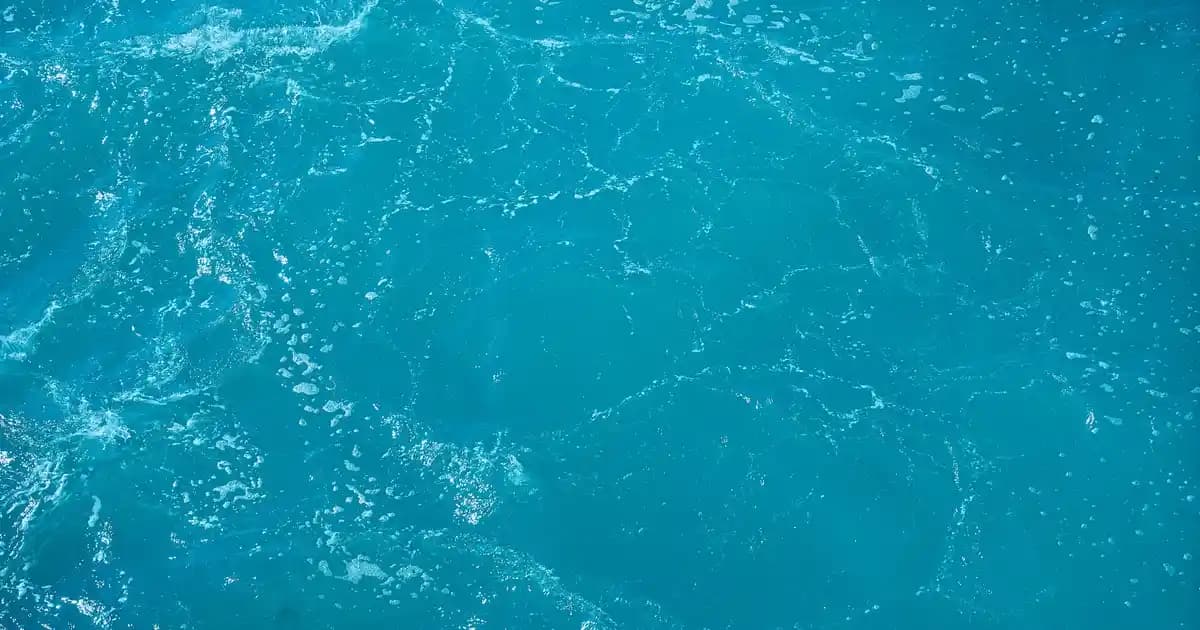 Wi-Fi Yazıcılar: Kablosuz Yazıcı Teknolojisinin Güncel ve Gelecekteki Trendleri