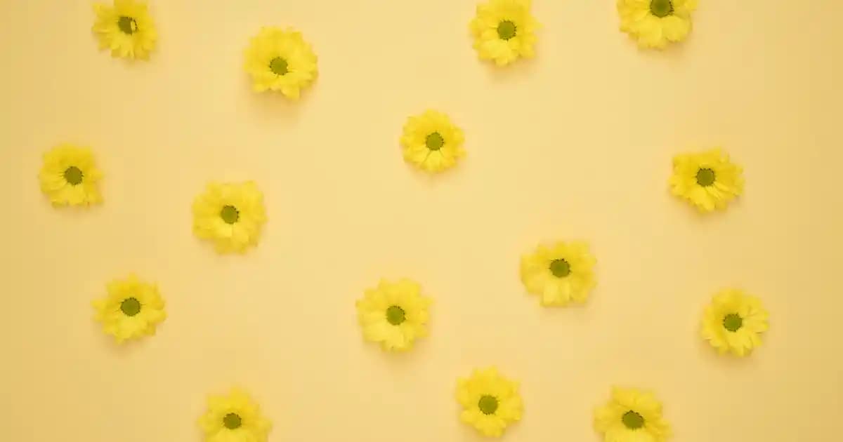 Xiaomi Direnç Değişimi Nedir ve Elektronik Cihazlarda Önemi Hakkında Bilgi