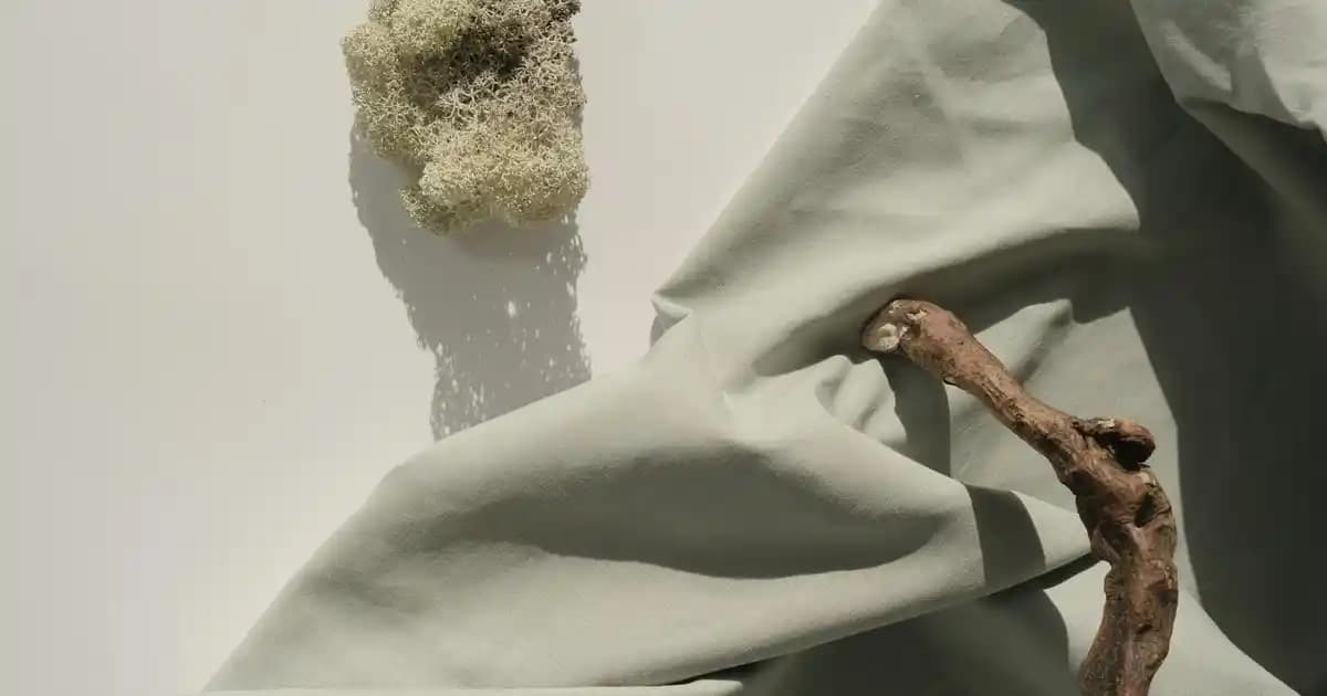 2025'te Xiaomi Katlanabilir Telefonlar: Mobil Devrimin 5 Sırrı