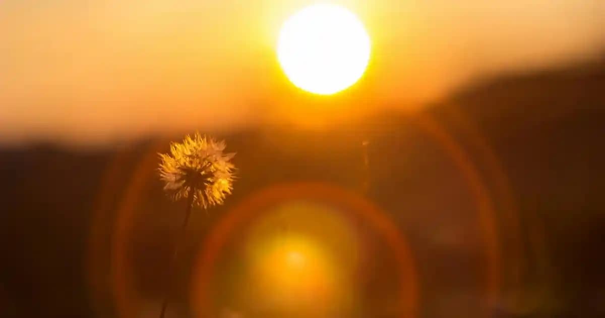 Yapı Kredi Müşteri Hizmetleri ve İletişim Kanalları Hakkında Detaylı Bilgi