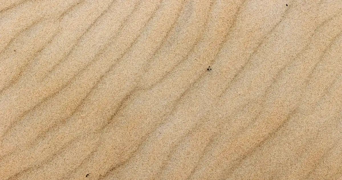 Yüksek Depolama Kapasiteli 1TB Akıllı Telefonların Günümüzdeki Önemi ve Seçim Rehberi