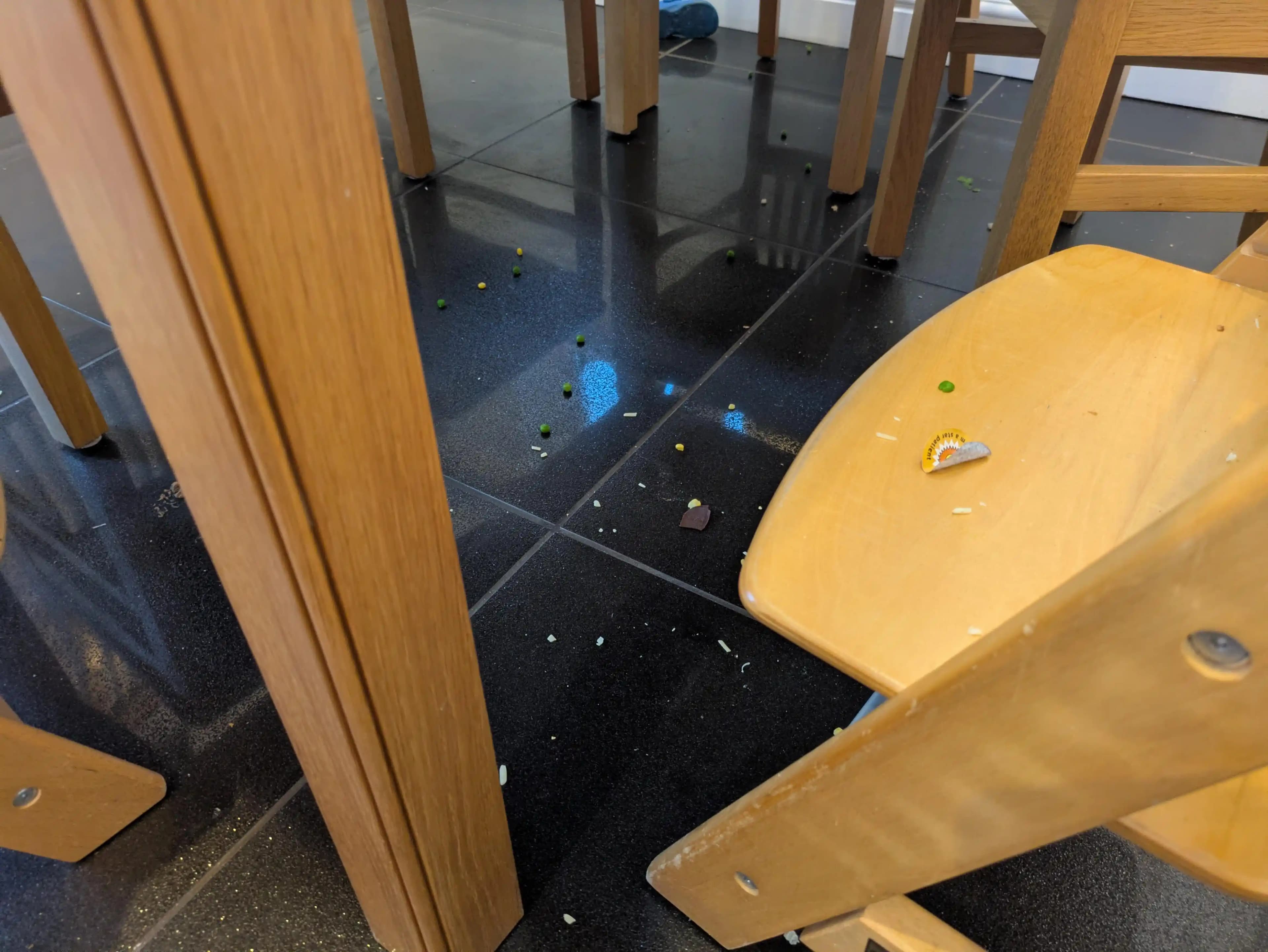 Islak ve Katı Gıda Artıklarıyla Etkili Mücadele İçin Robot Süpürge ve Paspas Seçimi