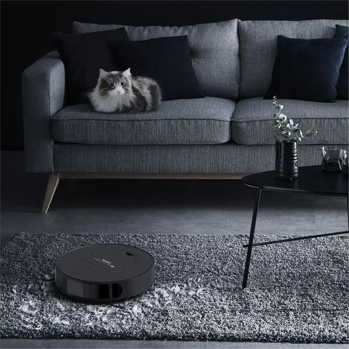 Robot Süpürge ve Paspaslarda Performans ve Alerji Dostu Özelliklerin Karşılaştırılması