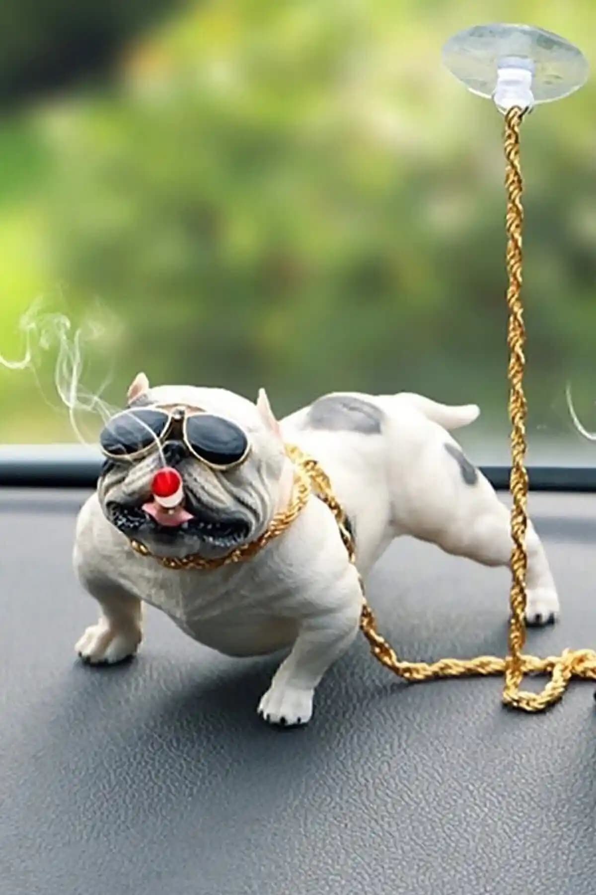 Köpek Dekorasyon ve Aksesuarları Karşılaştırması: En İyi Seçenekler ve Kullanıcı Yorumları