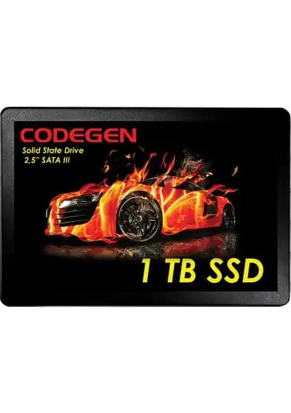 Codegen 1TB SATA 3 SSD Yüksek Performanslı Depolama Çözümü (75-90 karakter)