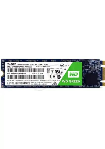 WD Sata Green 240GB M.2 SSD ile Yüksek Performans ve Güvenilir Depolama Çözümü