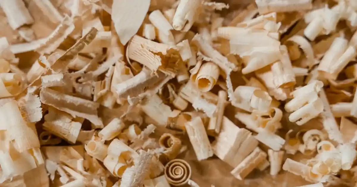 Ally Marka Buzlanma Önleyici Güneşliklerin Özellikleri ve Kullanım Alanları