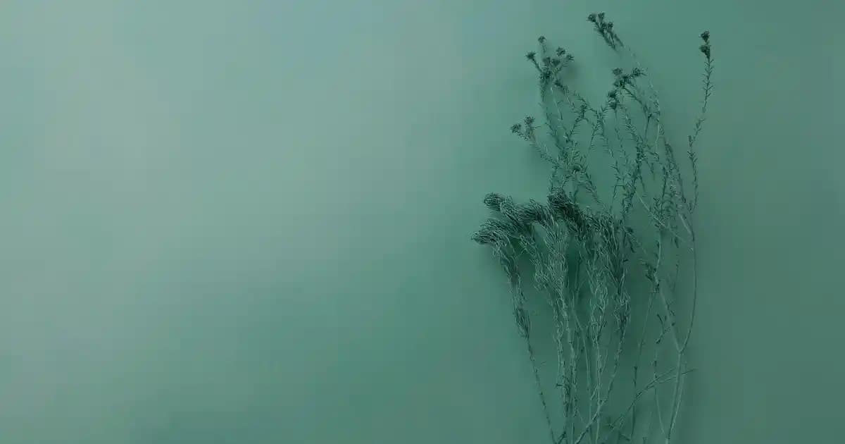 Amerikan Ayarlı Park Sinyali: Otomobil Güvenliğinde Yeni Bir Dönem