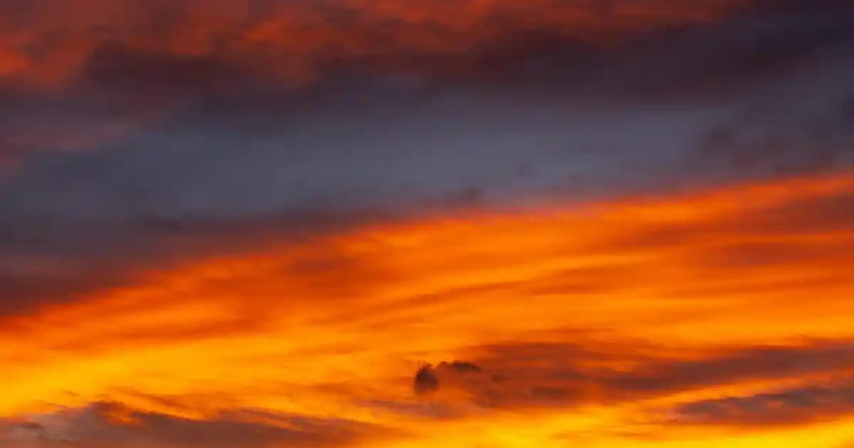 Elektronik ve Hassas Cihazlar İçin Anti Statik Cımbız Setleri Güvenlik ve Performans Artırıcı Araçlar