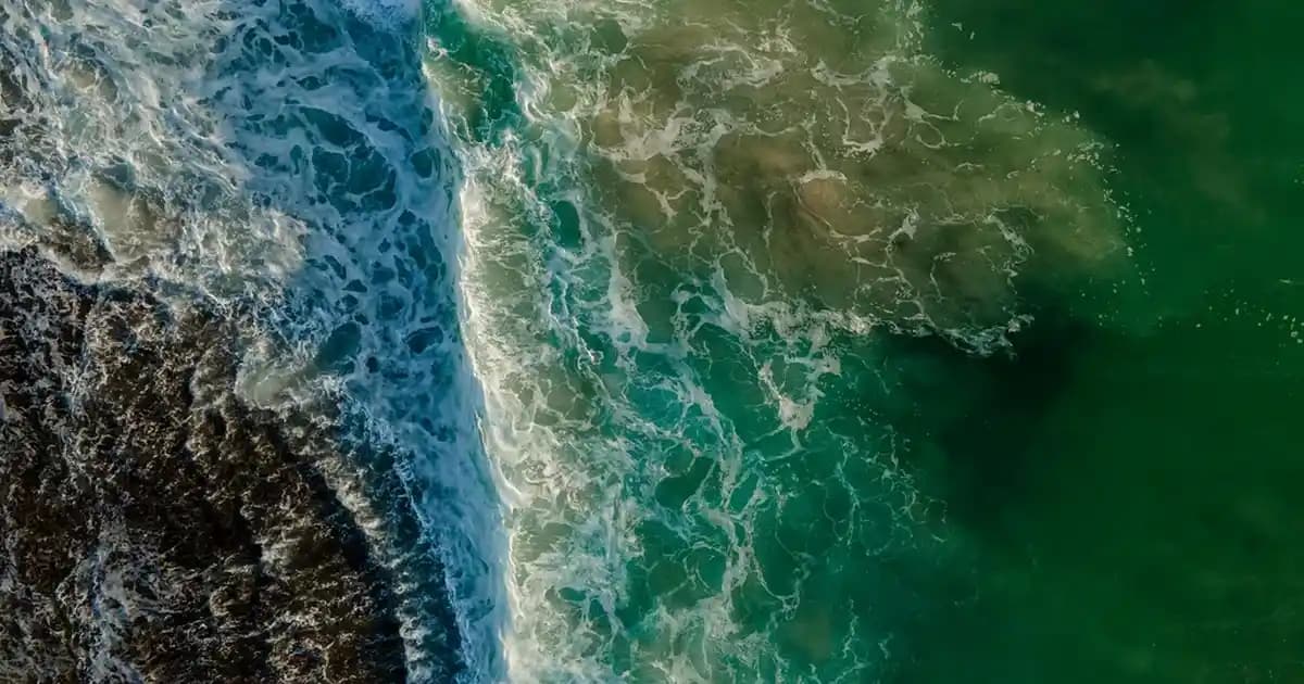 Apple Pencil ve iPad Uyumlu Kalem Özellikleri ve Kullanım İpuçları