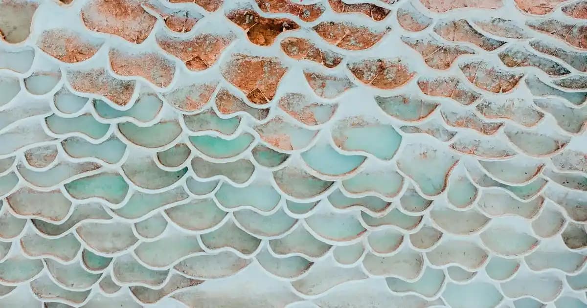 Araba İç Temizliğinde Fırça Setlerinin Rolü ve Özellikleri Hakkında Kapsamlı Bilgi