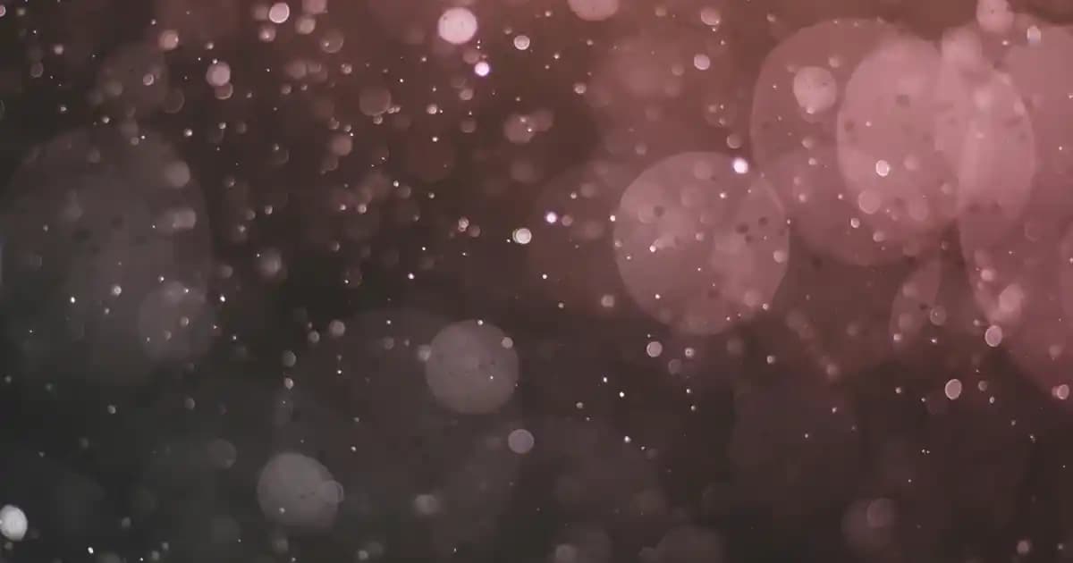 Araba İçinde Koku Giderici Temizleyiciler: Etkili ve Güvenilir Çözümler