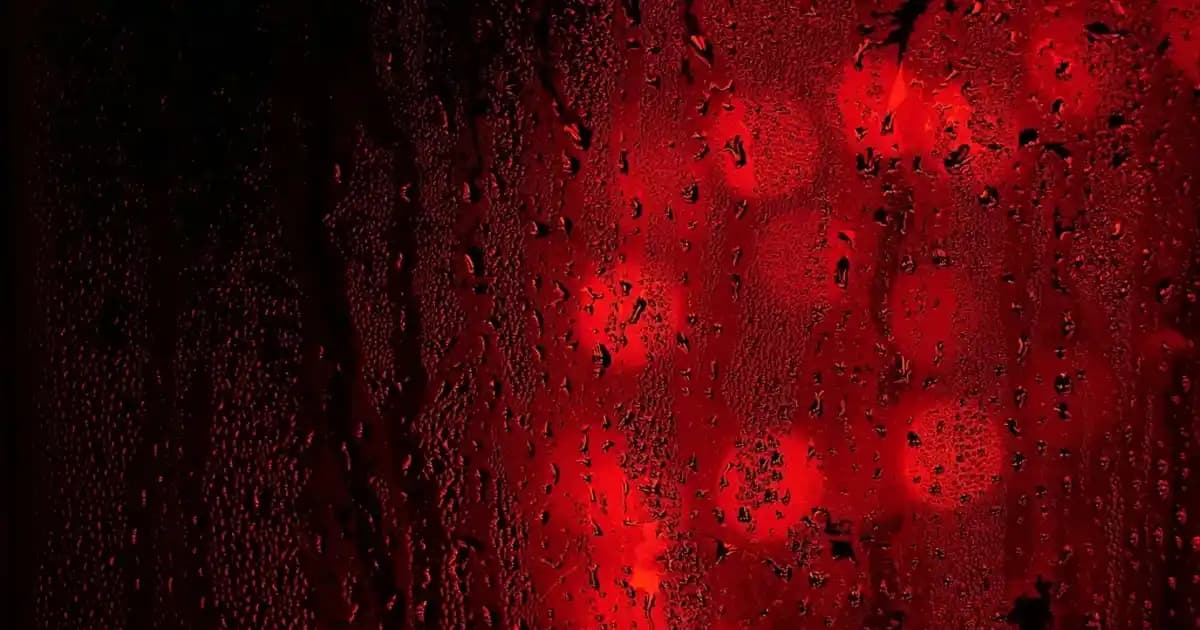 Araç İçi Temizlik Fırçaları: Çok Parçalı ve İşlevsel Setlerle Hijyen Sağlama