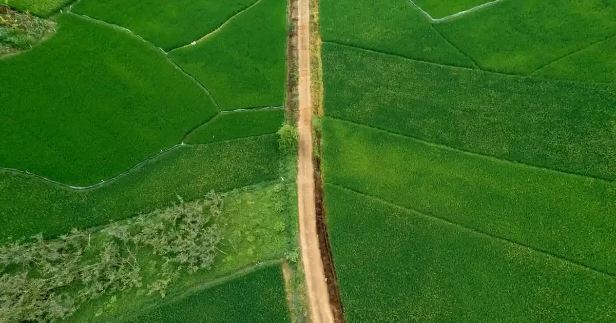 Cam Balkon Filmleri Alternatifleri ve Güncel Trendler: Gizlilik ve Estetik İçin Çözüm Önerileri