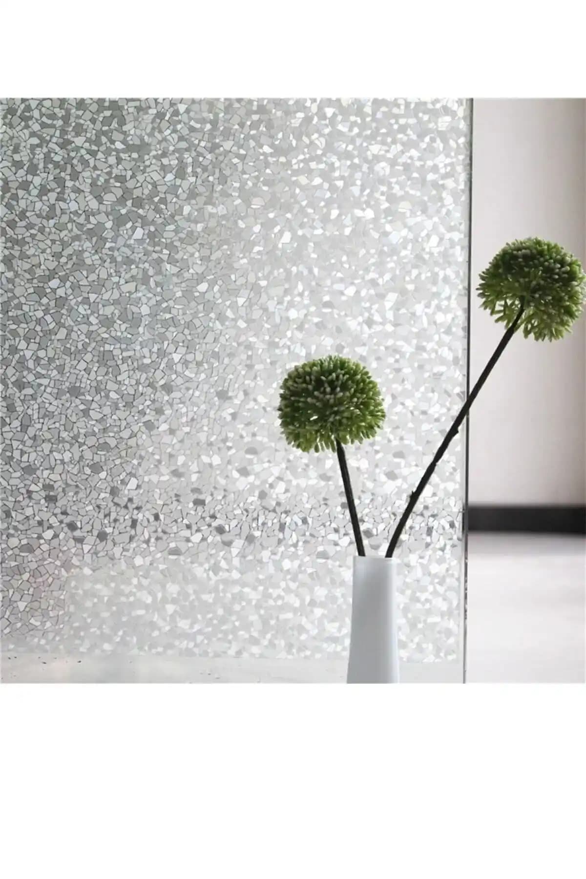 Cam Filmleri: Ev ve Ofislerde Güneş Kontrolü ve Gizlilik Sağlayan Pratik Çözümler