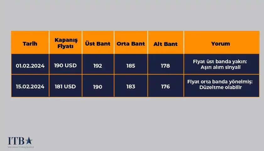 Dayanıklılık Analizi ile Güçlendirilmiş Araç Bantlarının Tasarımı ve Performansı