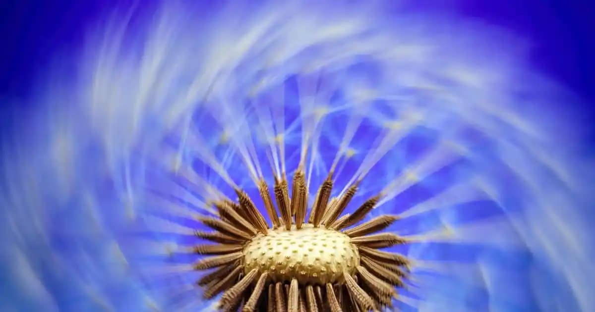 Fiat Egea İçin Krom Eşik Aksesuarları: Estetik ve Koruma Sağlayan Çözüm