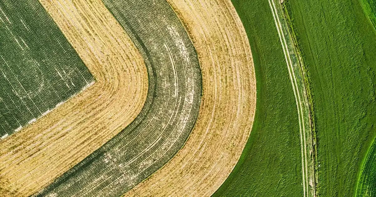 FireCuda Marvel Spider-Man Disk ile Yüksek Kapasiteli ve Tematik Depolama Çözümü