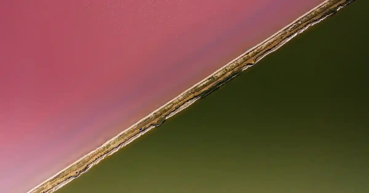 GamePower Oyuncu Mouse Modelleri: Özellikler ve Seçim Kriterleri Hakkında Detaylı Bilgi