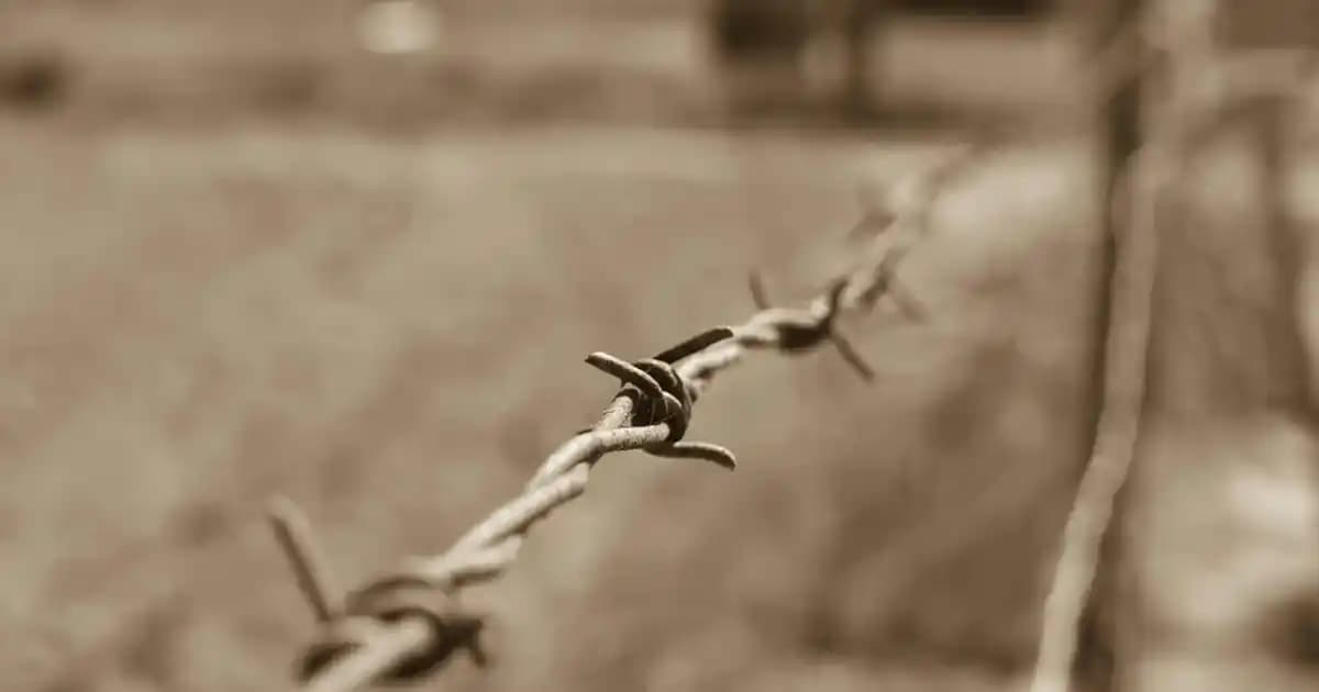 iPhone 14 Pro Max için Kamera Lens Koruyucu Seçimi ve Kullanım Rehberi