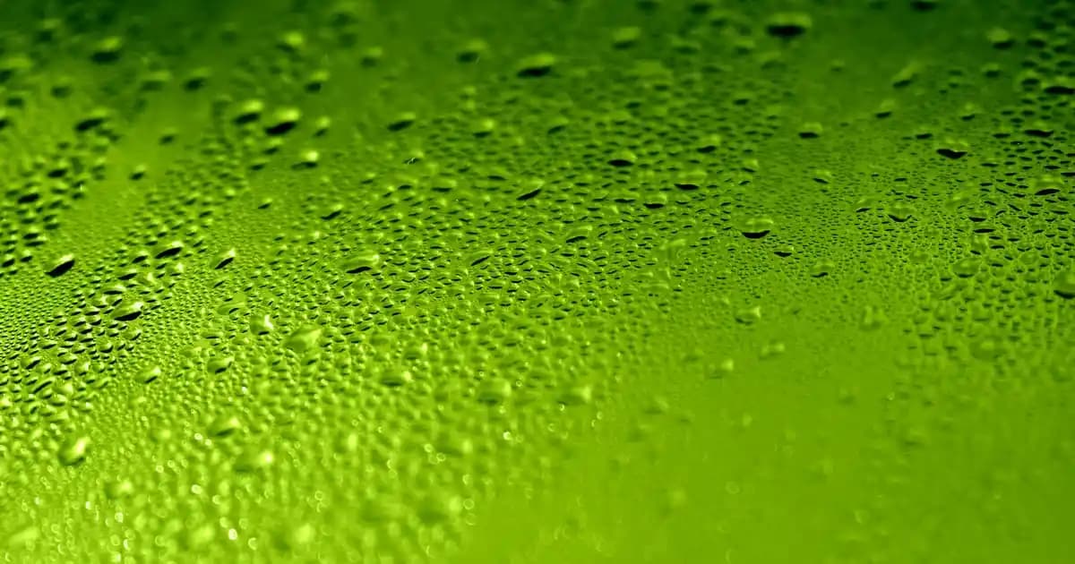 Modemlerde Çoklu Bağlantı Teknolojileri: Temel Kavramlar ve Güncel Uygulamalar