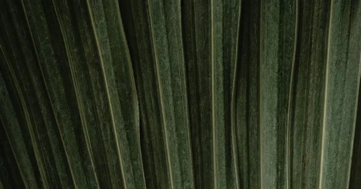 Modern Hoparlörlerde Tasarım ve Ses Kalitesinin Önemi Ürün Seçiminde Dikkat Edilmesi Gerekenler