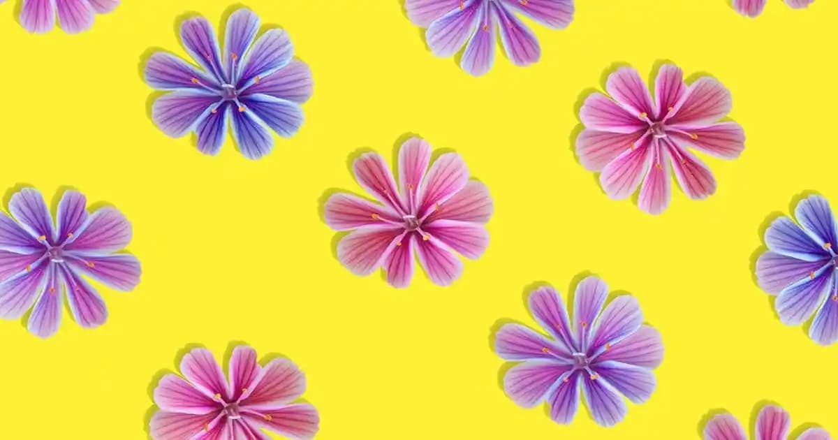 MotoExpress Motosiklet Manet Koruma Çözümleri Güvenli ve Konforlu Sürüş İçin