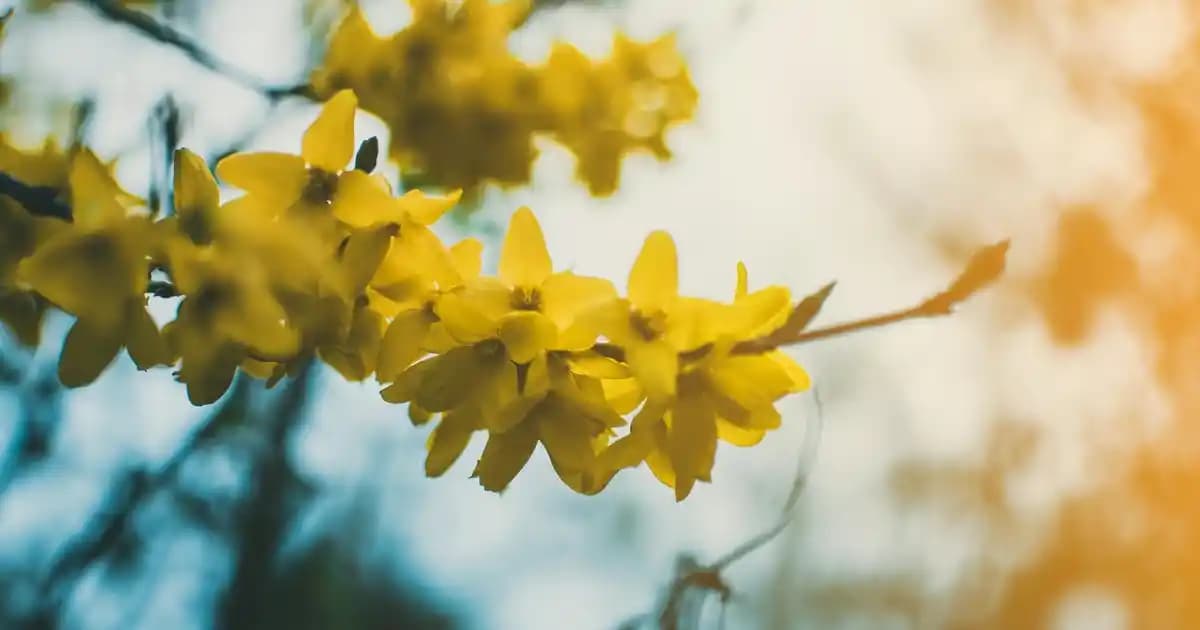 Oto Hava Kompresörleri: Modelleri, Özellikleri ve Kullanım Alanları