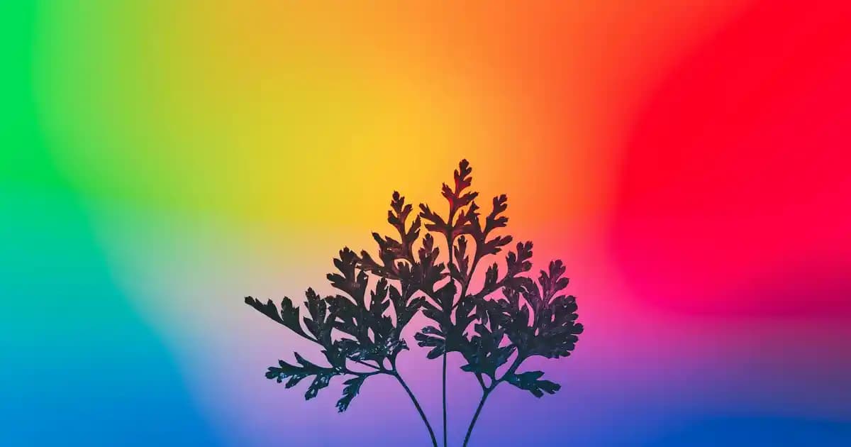 Samsung Orijinal Güvenli Şarj Cihazları: Güvenli ve Verimli Kullanım İçin Doğru Seçenekler