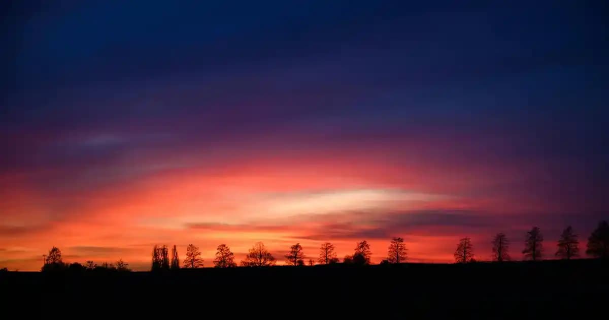 Vestel Akıllı Televizyonların Gelişmiş Özellikleri ve Teknolojik Yenilikleri Hakkında Detaylar